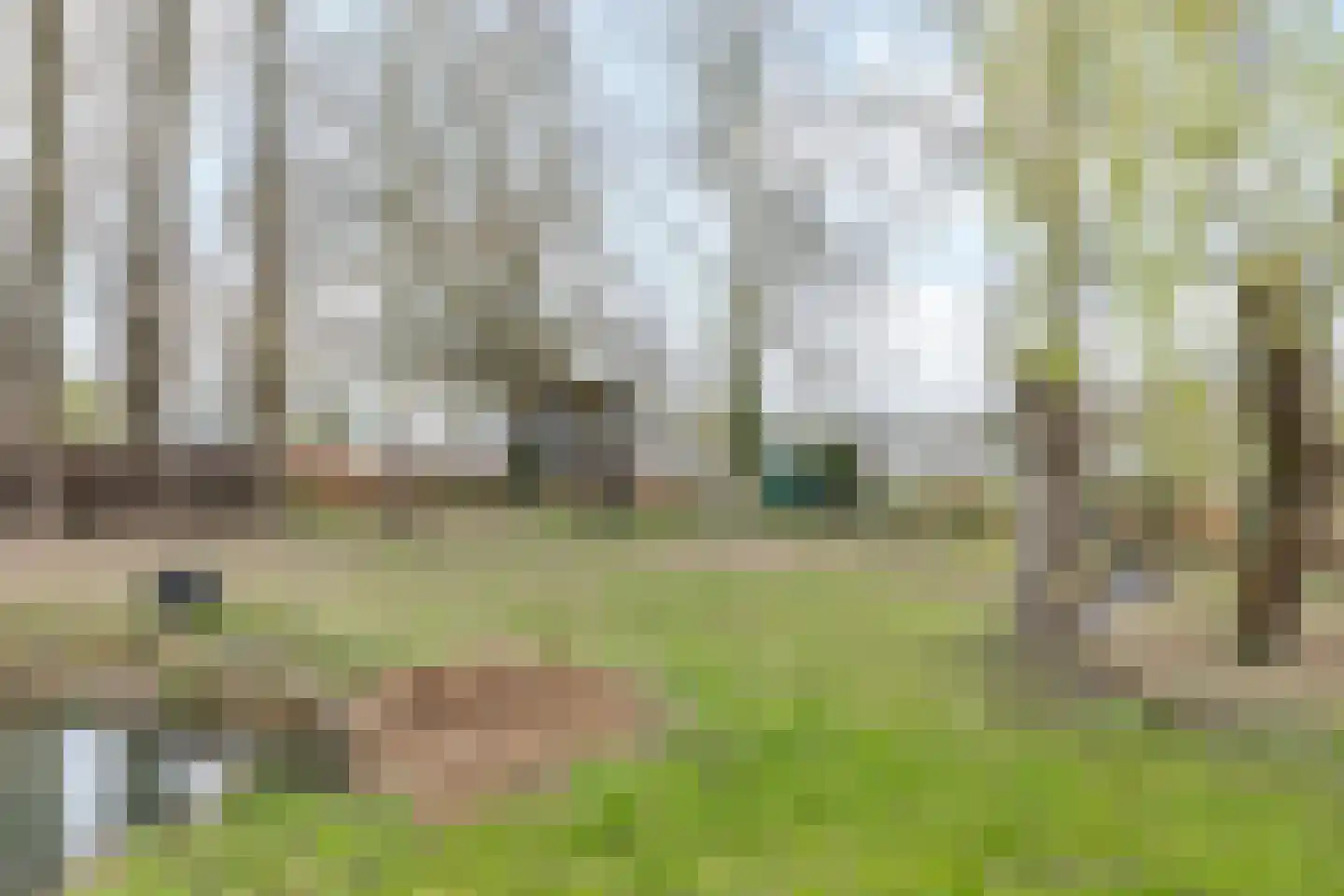 Eijkenderweg 67 Nuth thumbnail 26