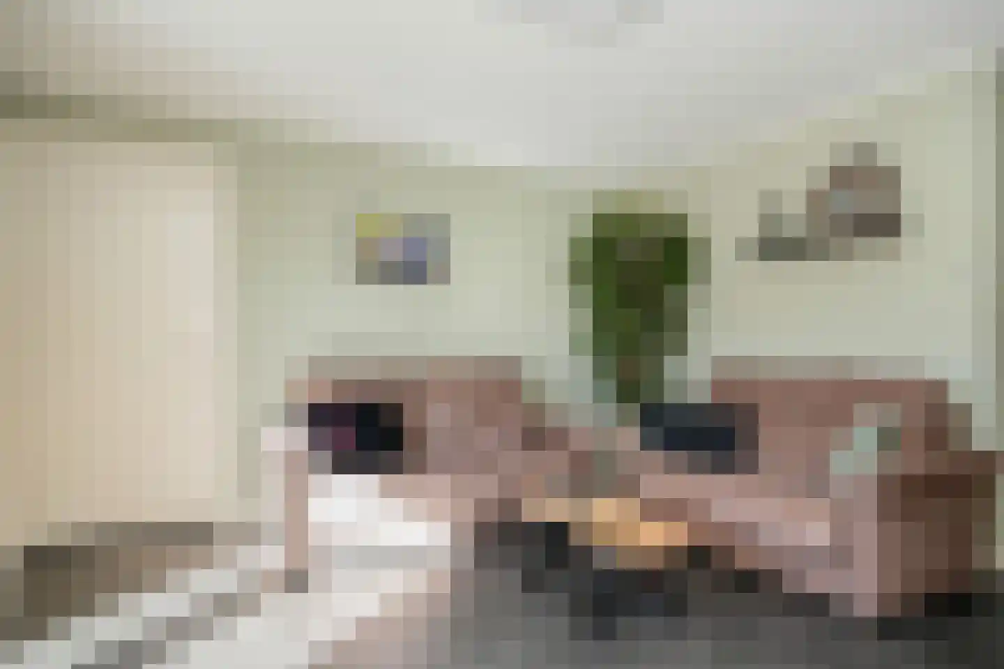 Eijkhovenstraat 4 d Dreumel thumbnail 10