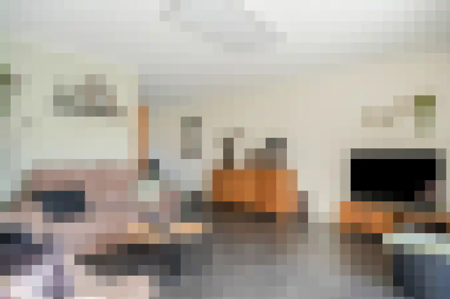 Eijkhovenstraat 4 d Dreumel thumbnail 11