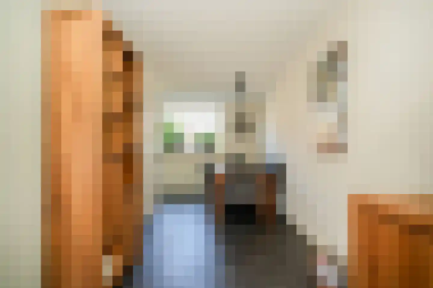 Eijkhovenstraat 4 d Dreumel thumbnail 13