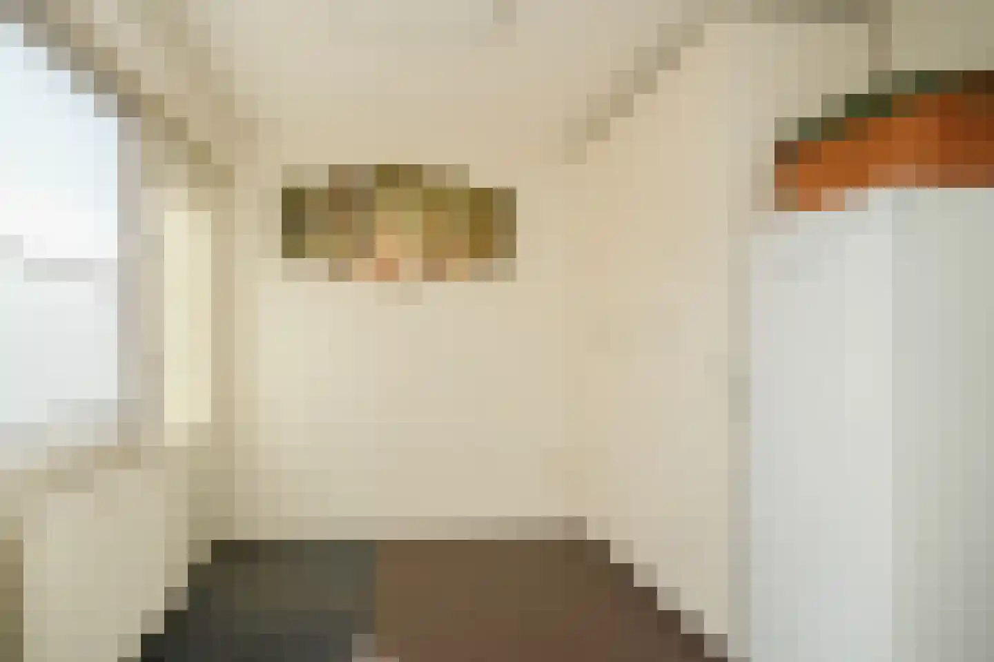 Eijkhovenstraat 4 d Dreumel thumbnail 19