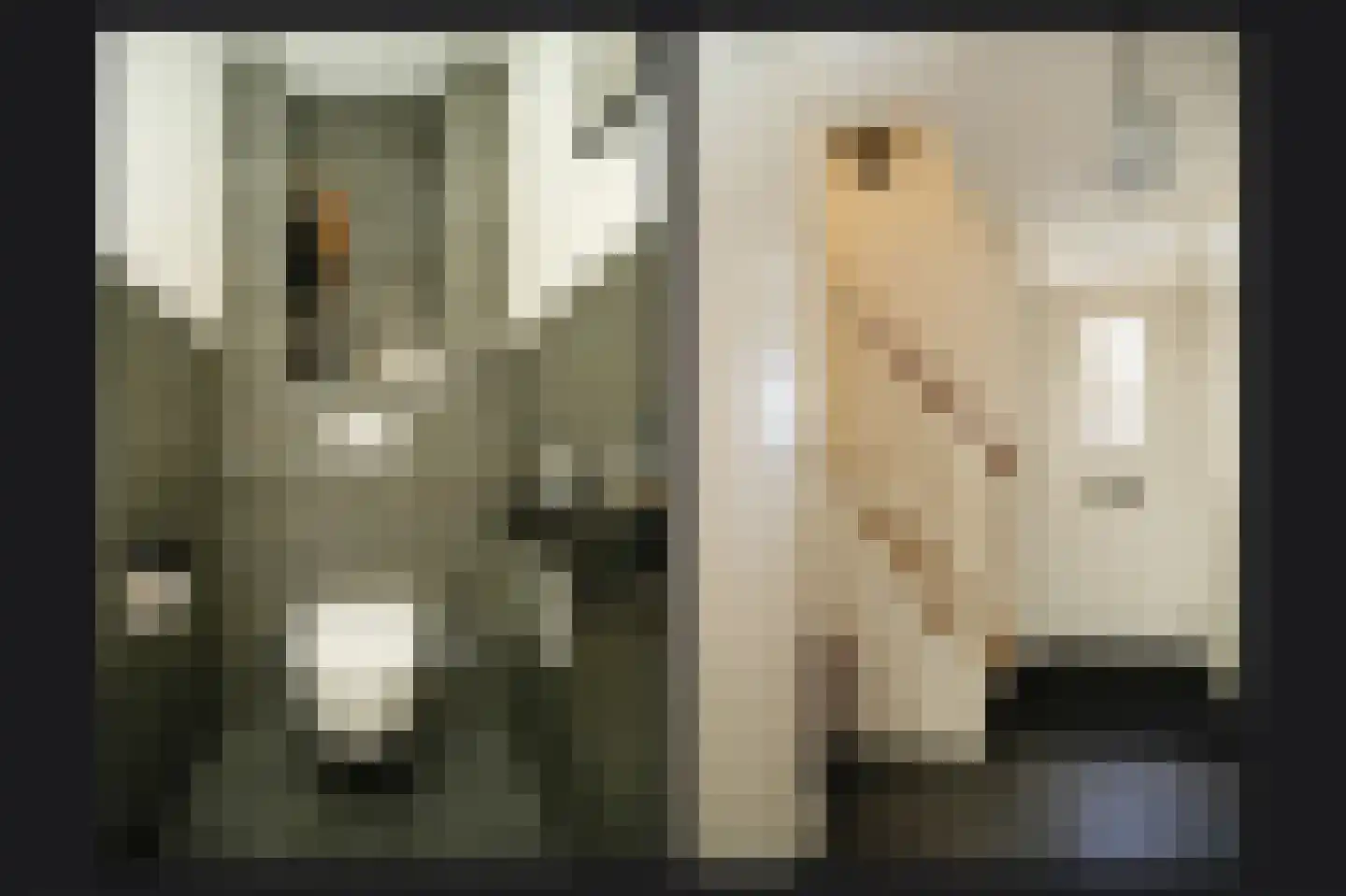 Eijkhovenstraat 4 d Dreumel thumbnail 21