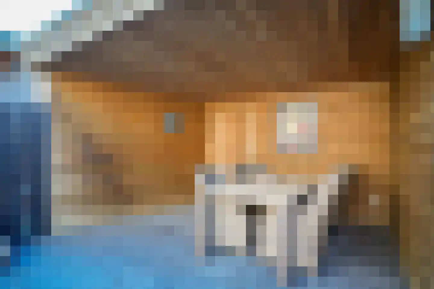 Eijkhovenstraat 4 d Dreumel thumbnail 35