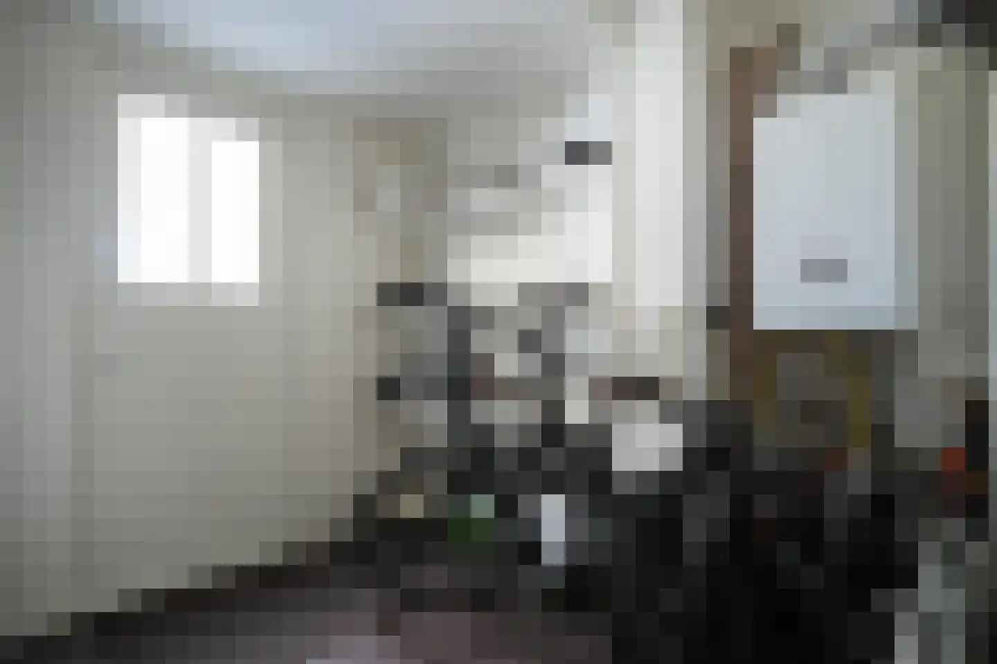 Eijkhovenstraat 4 d Dreumel thumbnail 41