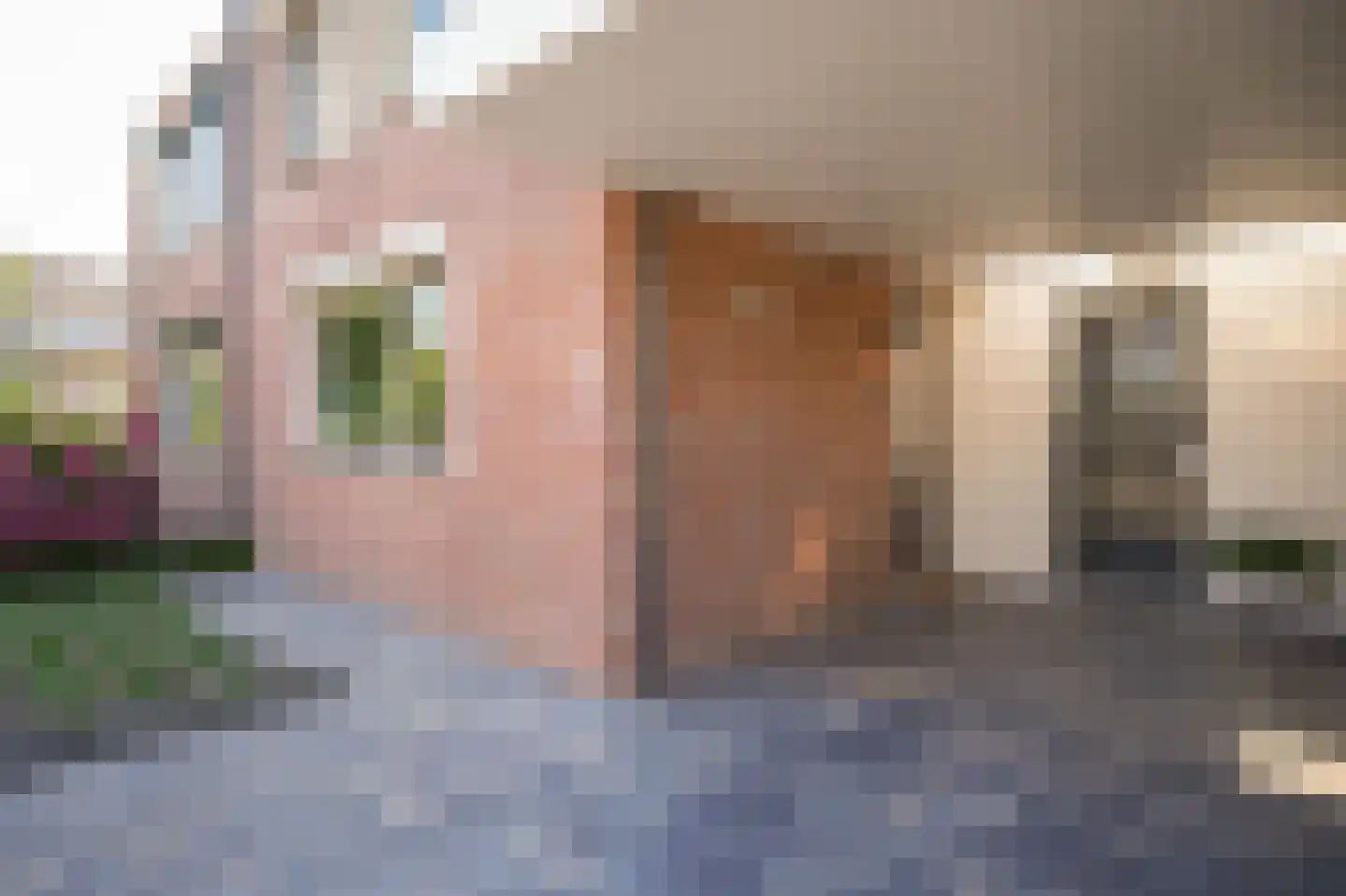 Eijkhovenstraat 4 d Dreumel thumbnail 43