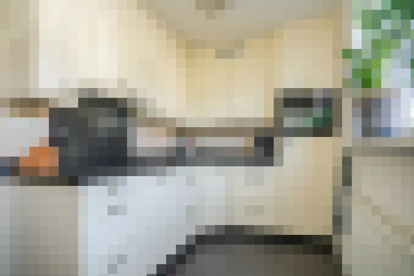 Eijkhovenstraat 4 d Dreumel thumbnail 5