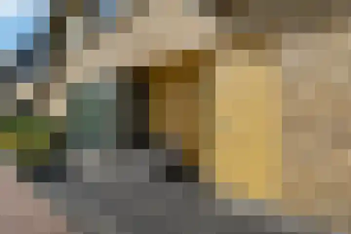 Eijkmanhof 22 Rotterdam thumbnail 10