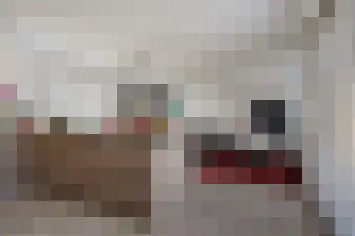 Eijkmanhof 22 Rotterdam thumbnail 16