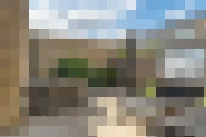 Eijkmanhof 22 Rotterdam thumbnail 28