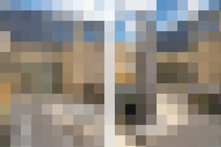 Eijkmanhof 22 Rotterdam thumbnail 31