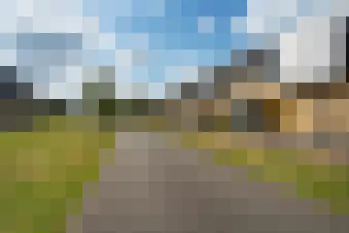 Eijkmanhof 22 Rotterdam thumbnail 5