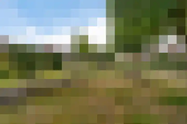 Eijkmanhof 22 Rotterdam thumbnail 56