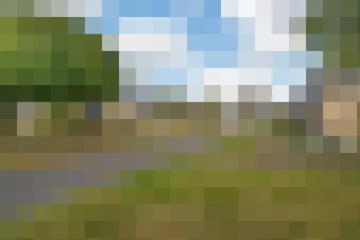 Eijkmanhof 22 Rotterdam thumbnail 7