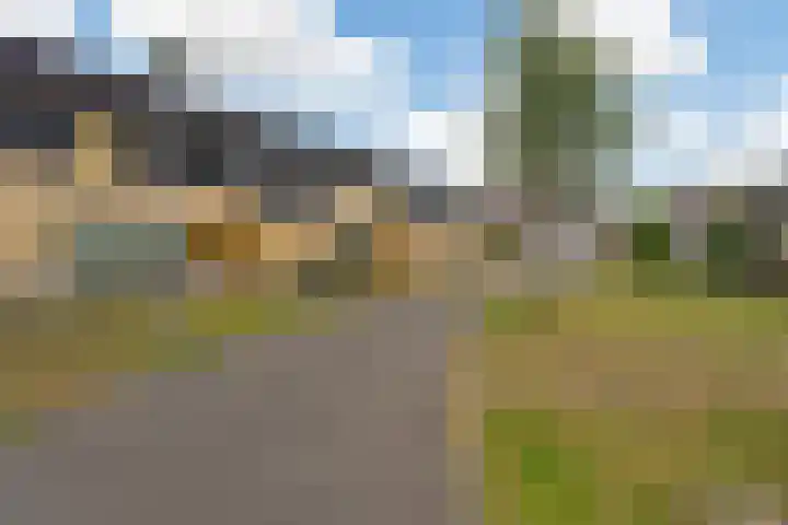 Eijkmanhof 22 Rotterdam thumbnail 8