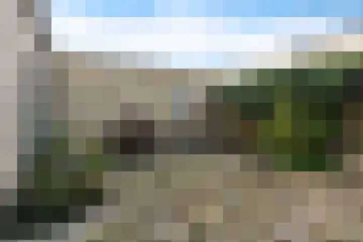 Eijkmanhof 23 Rotterdam thumbnail 21