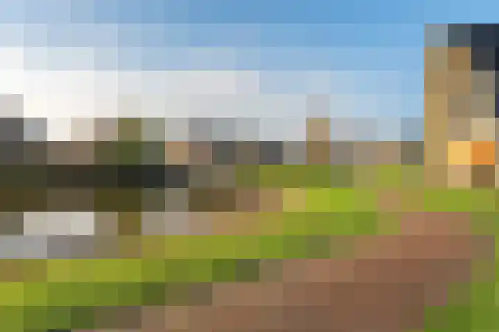 Eijkmanhof 23 Rotterdam thumbnail 45