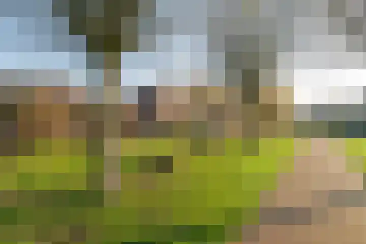 Eijkmanhof 23 Rotterdam thumbnail 46