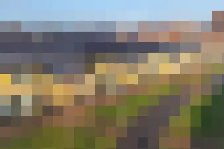Eijkmanhof 23 Rotterdam thumbnail 5