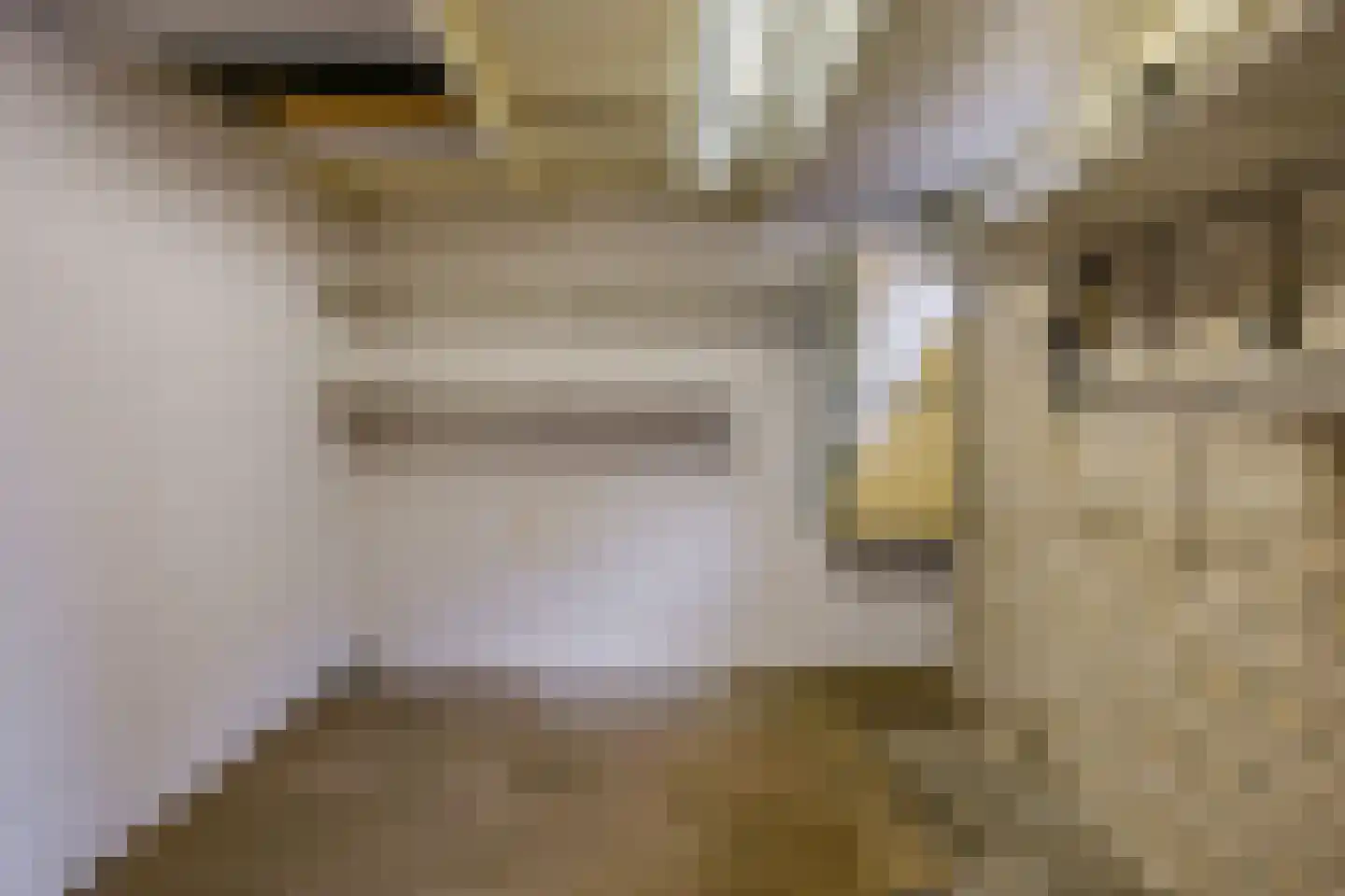 Eijkmansstraat 2 Driel thumbnail 28