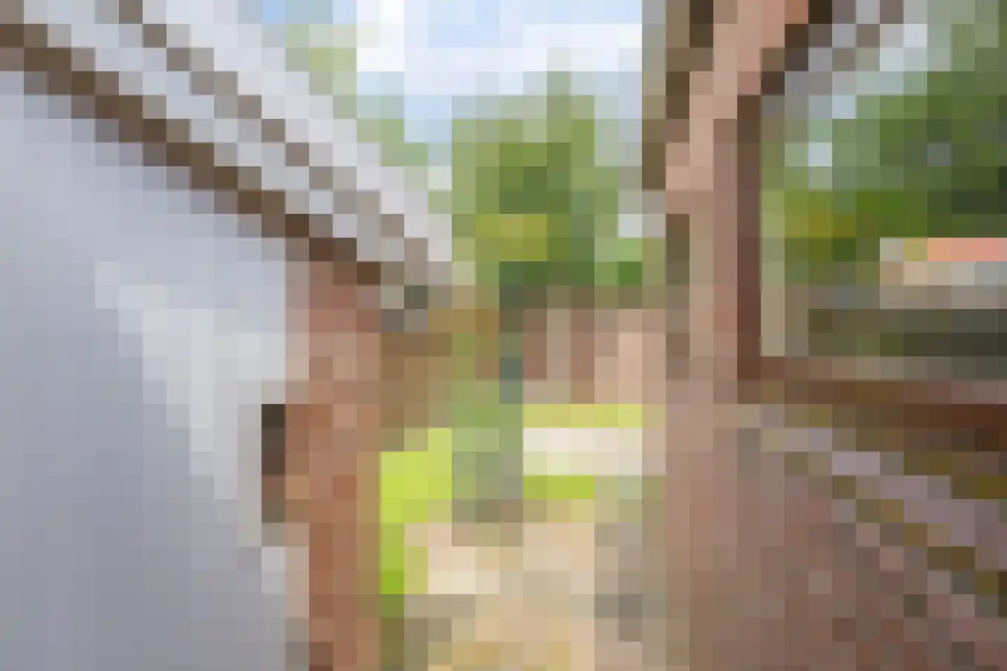 Eijkmansstraat 2 Driel thumbnail 52