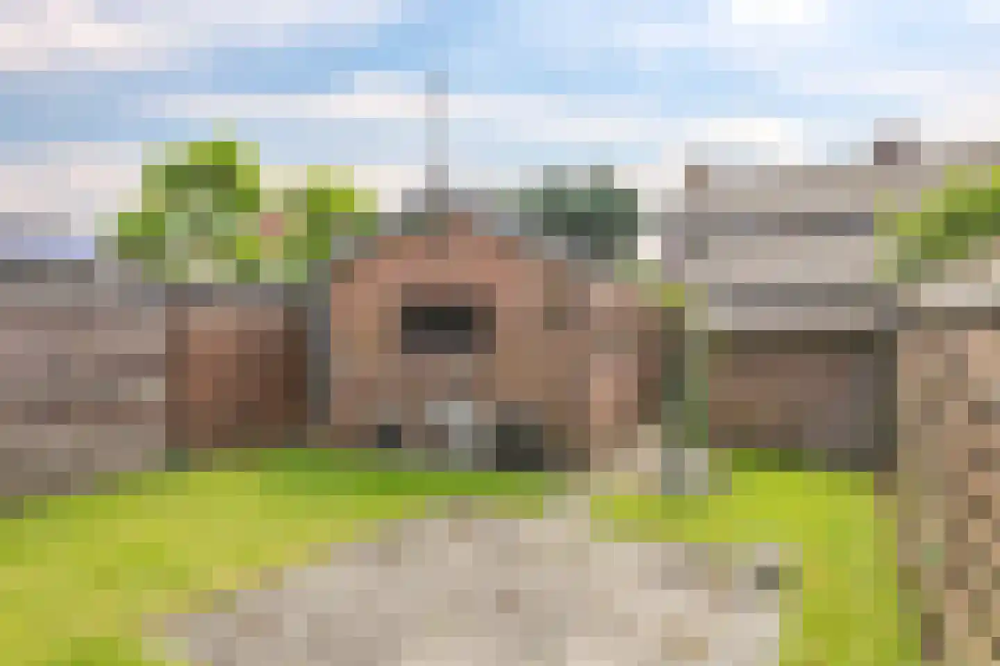 Eijkmansstraat 2 Driel thumbnail 55