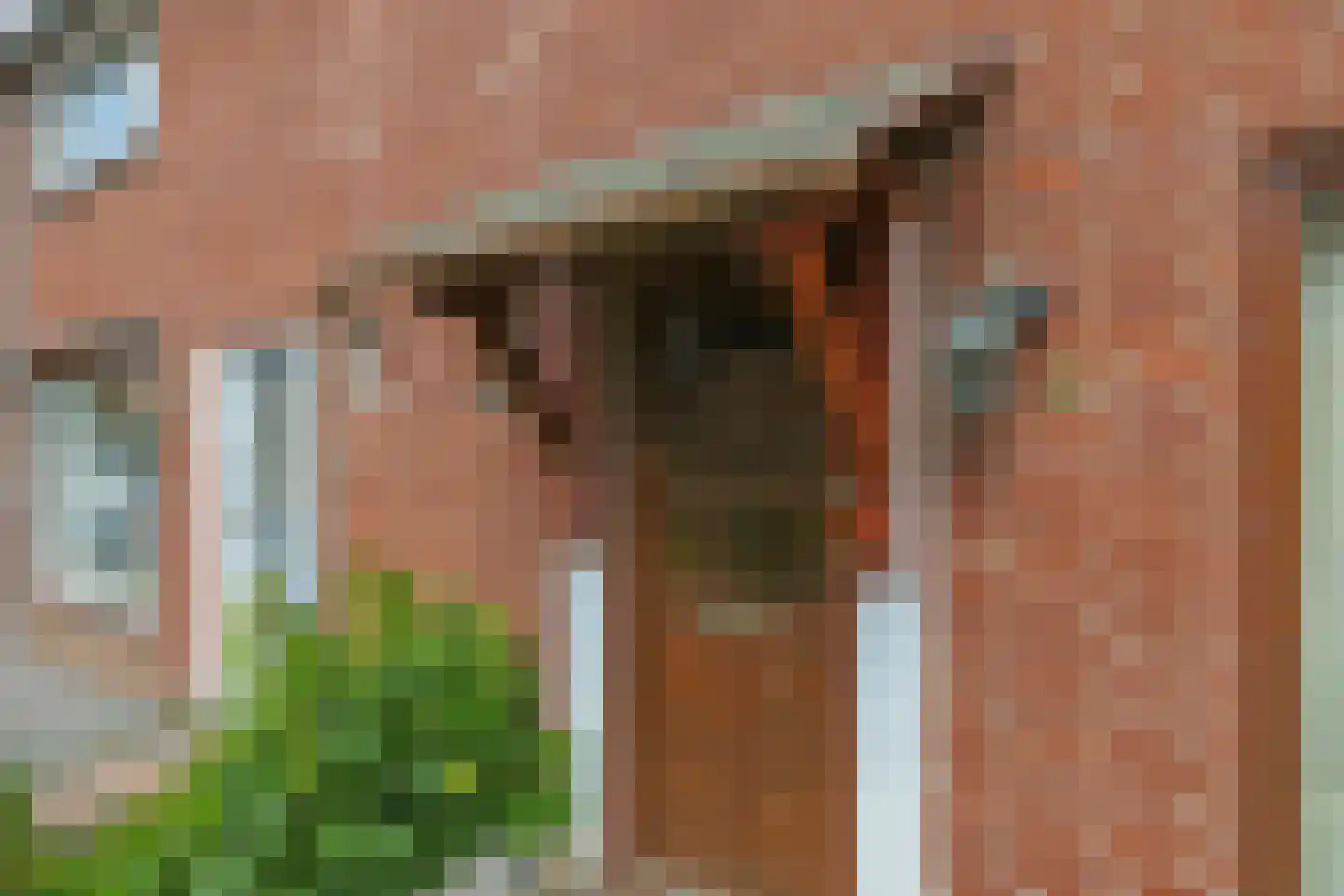Eijkmansstraat 2 Driel thumbnail 6