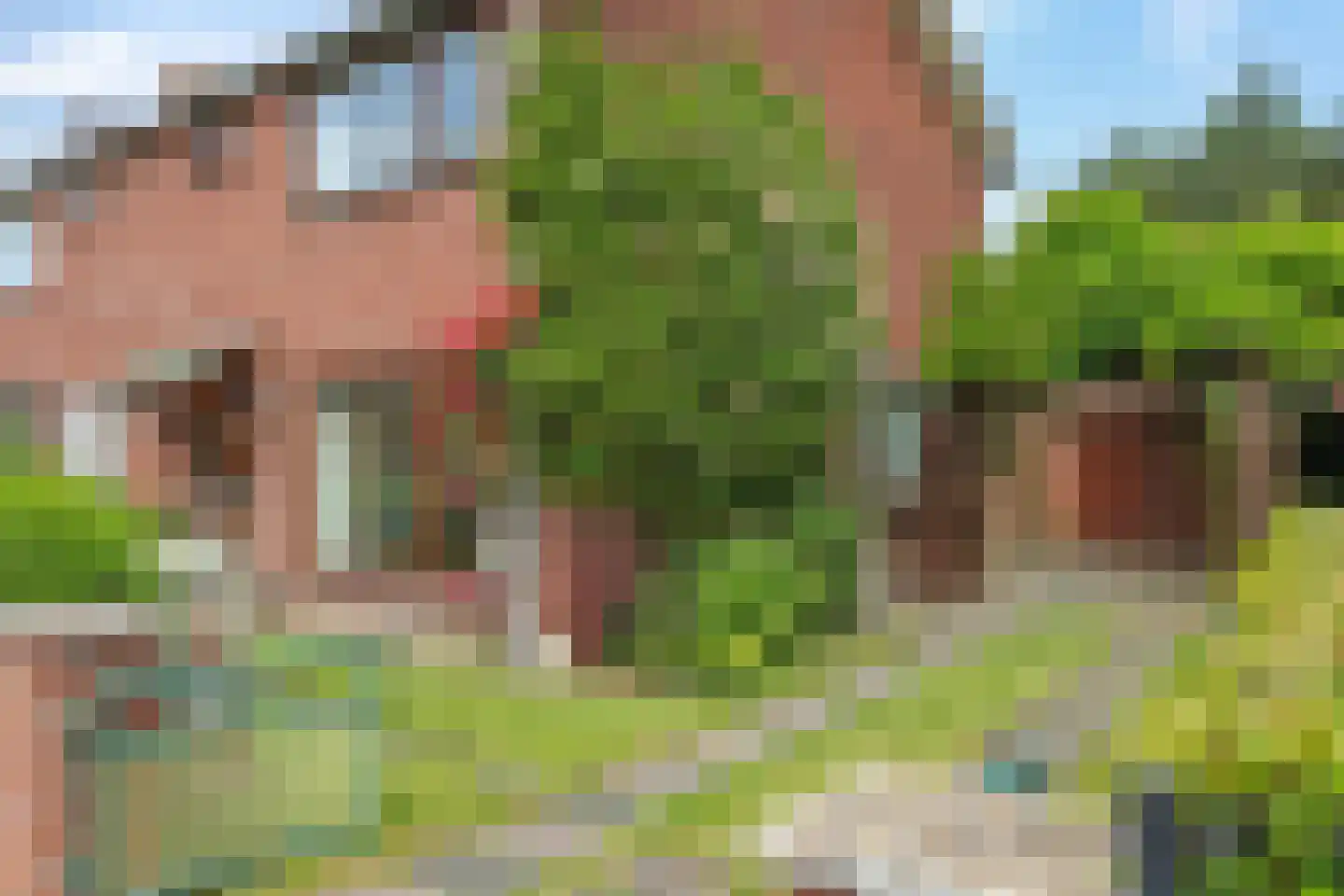 Eijkmansstraat 2 Driel thumbnail 64