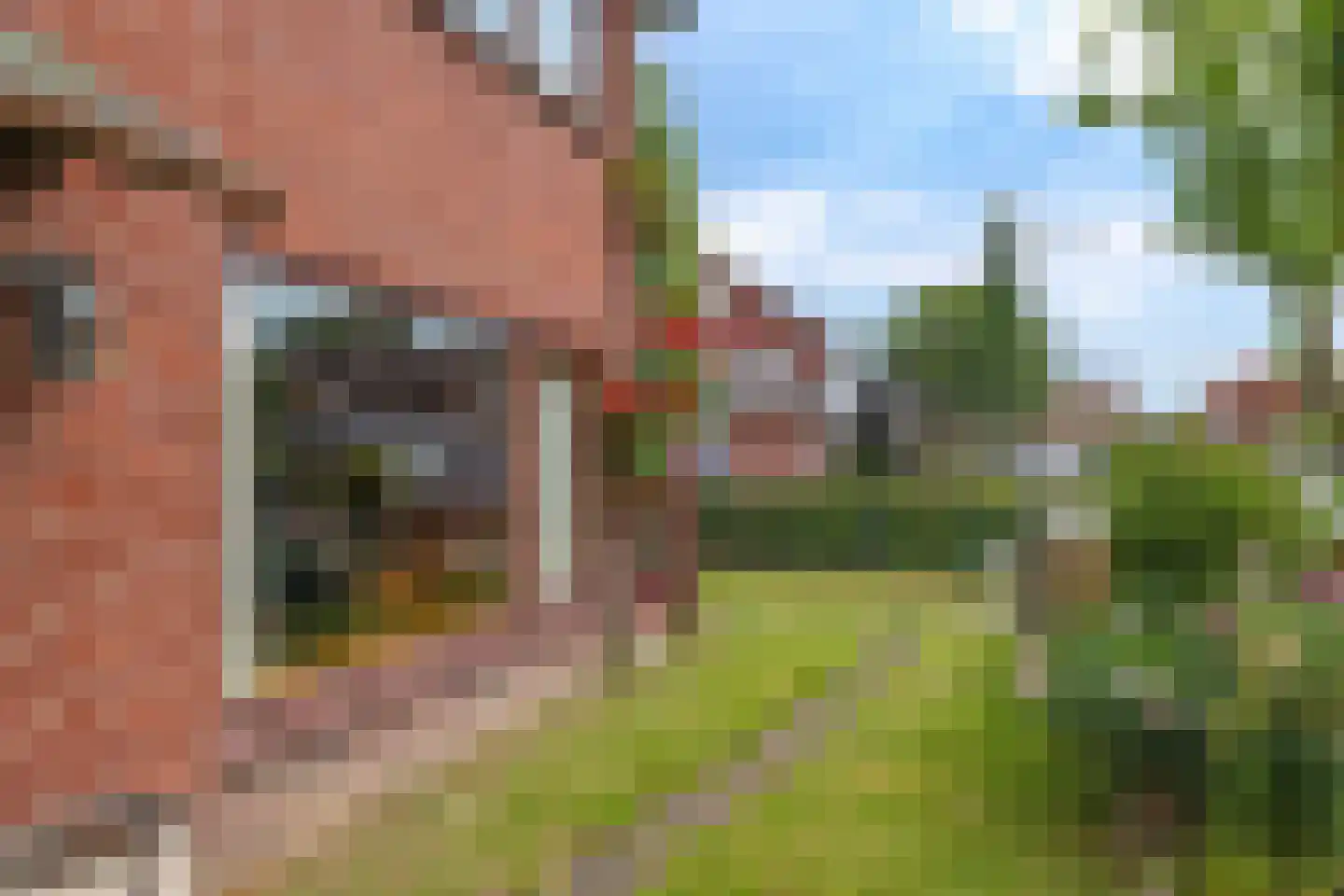 Eijkmansstraat 2 Driel thumbnail 65