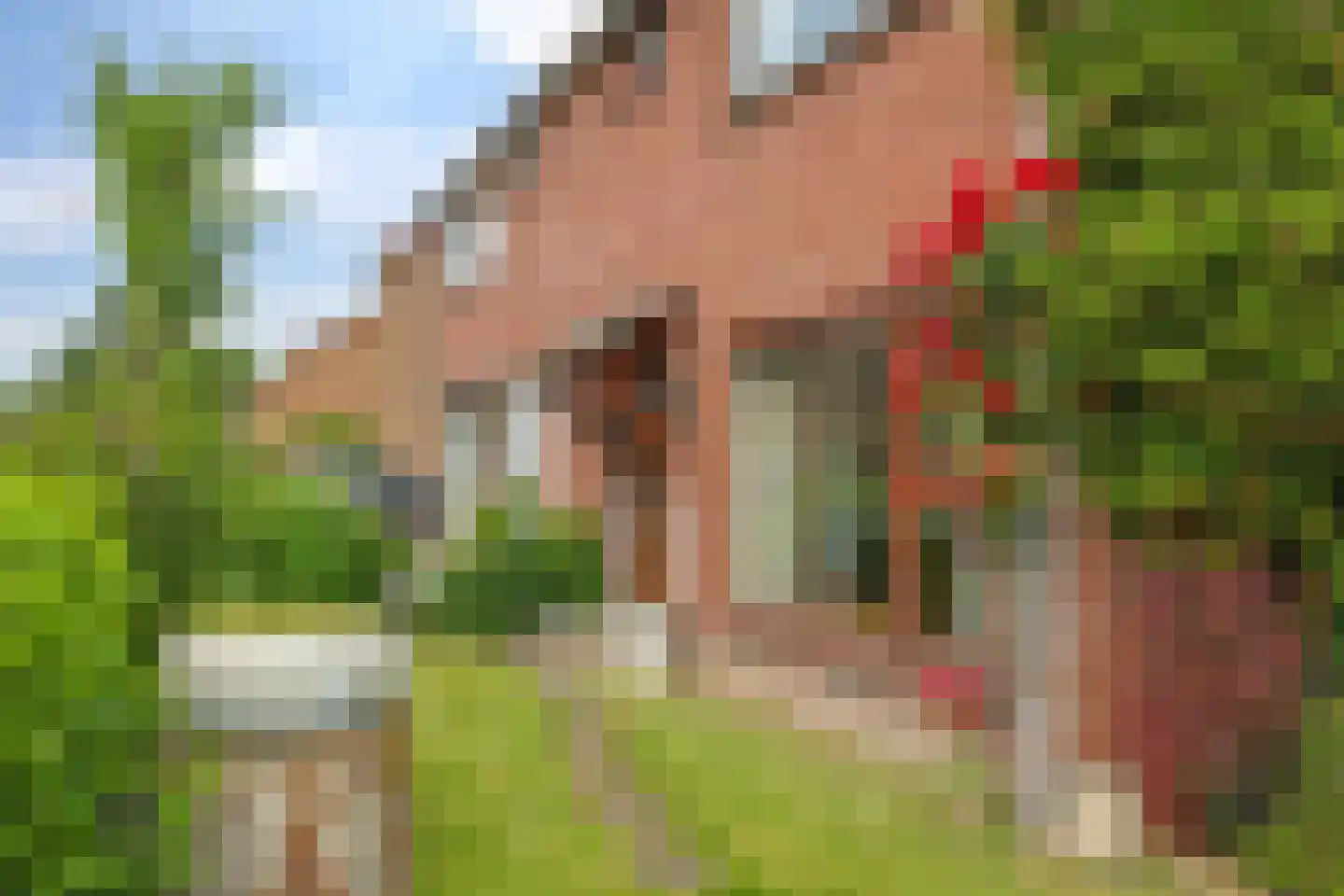 Eijkmansstraat 2 Driel thumbnail 66