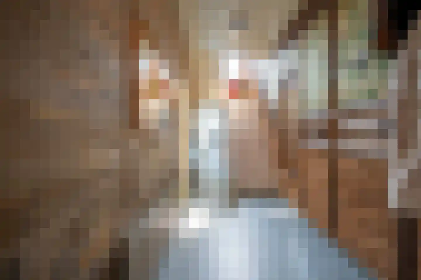 Eijmaelstraat 24 Heerlen thumbnail 5