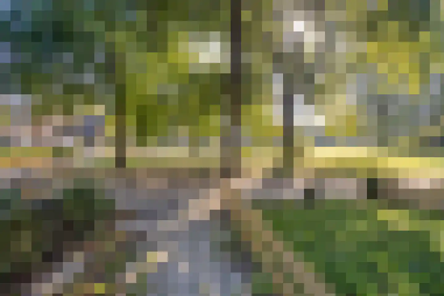 Eijsdenpad 12 Arnhem thumbnail 23