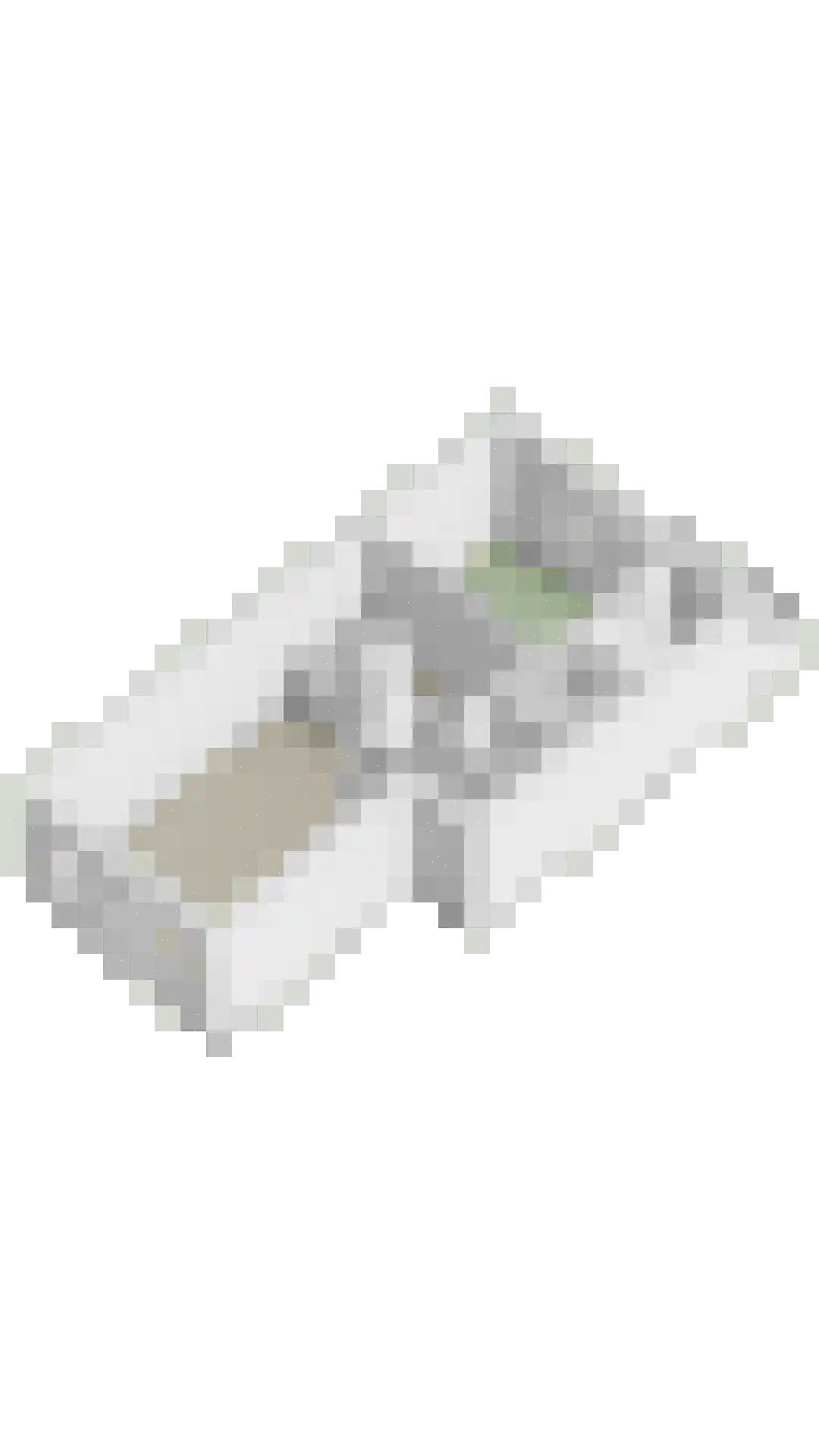 Eijsdenpad 12 Arnhem thumbnail 26