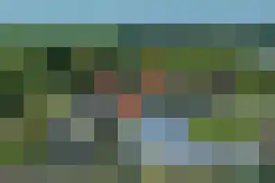 Eijzengapaed 6 1 De Veenhoop thumbnail 13
