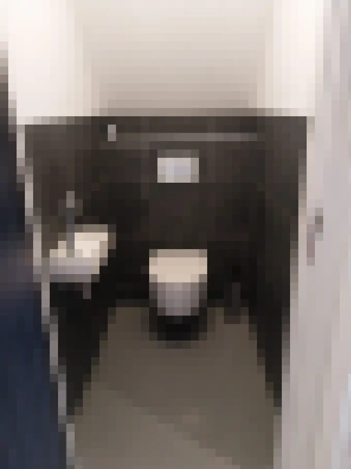 Eijzengapaed 6 1 De Veenhoop thumbnail 20