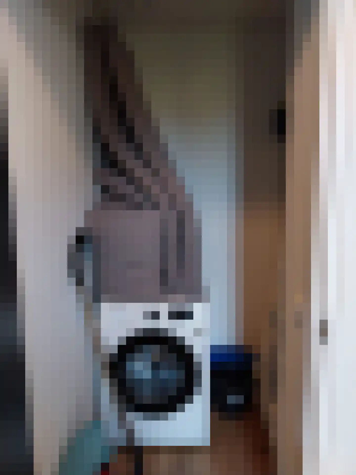 Eijzengapaed 6 1 De Veenhoop thumbnail 21