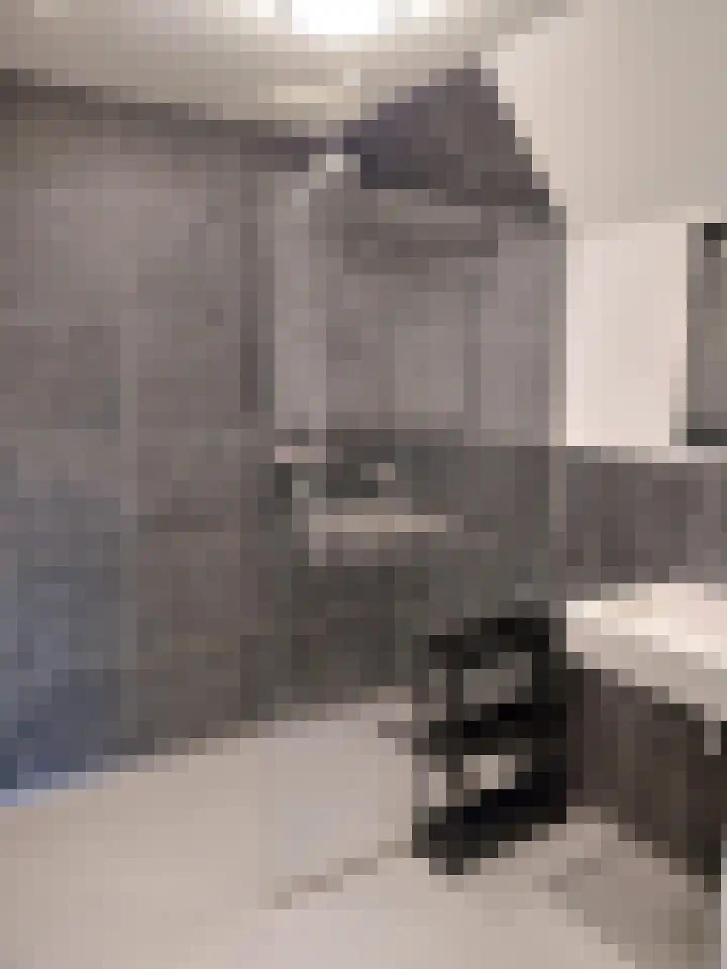 Eijzengapaed 6 1 De Veenhoop thumbnail 33