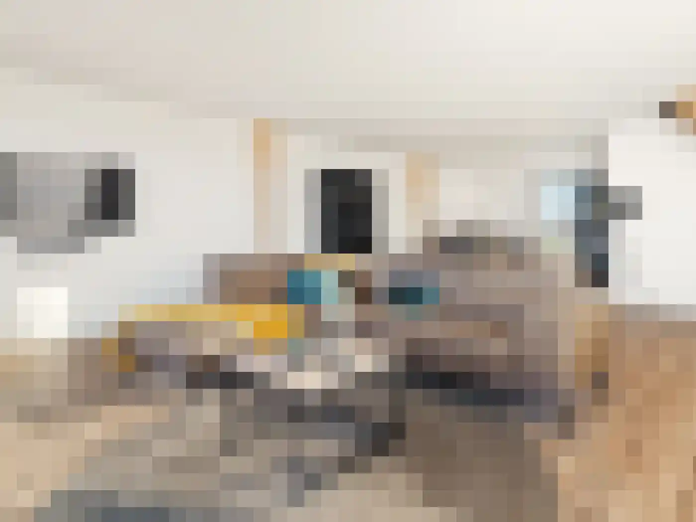 Eijzengapaed 6 7 De Veenhoop thumbnail 18