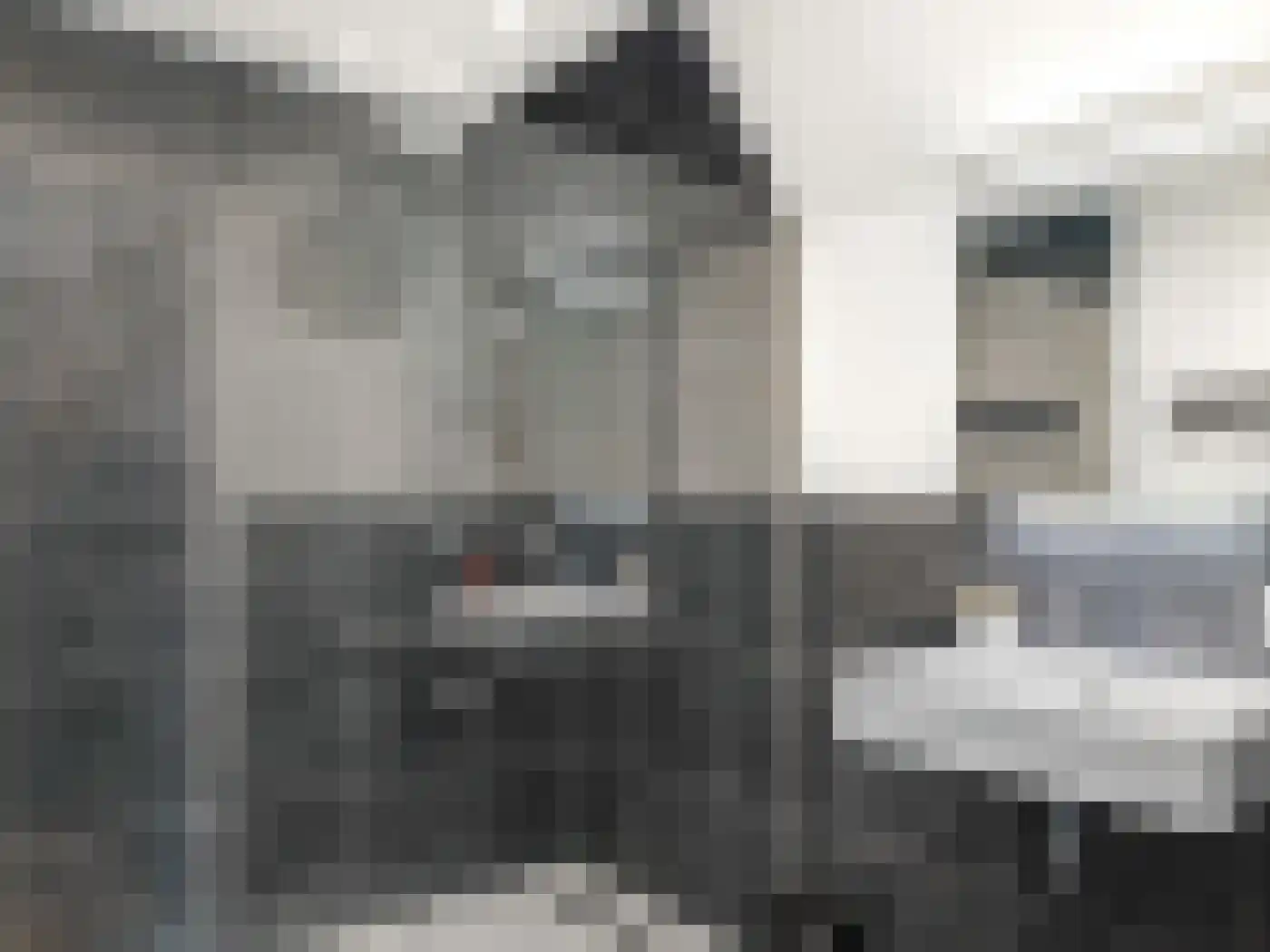 Eijzengapaed 6 7 De Veenhoop thumbnail 23