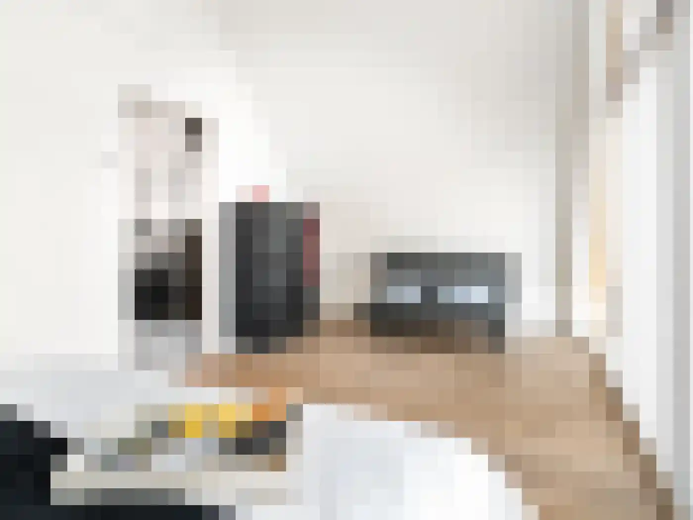 Eijzengapaed 6 7 De Veenhoop thumbnail 25