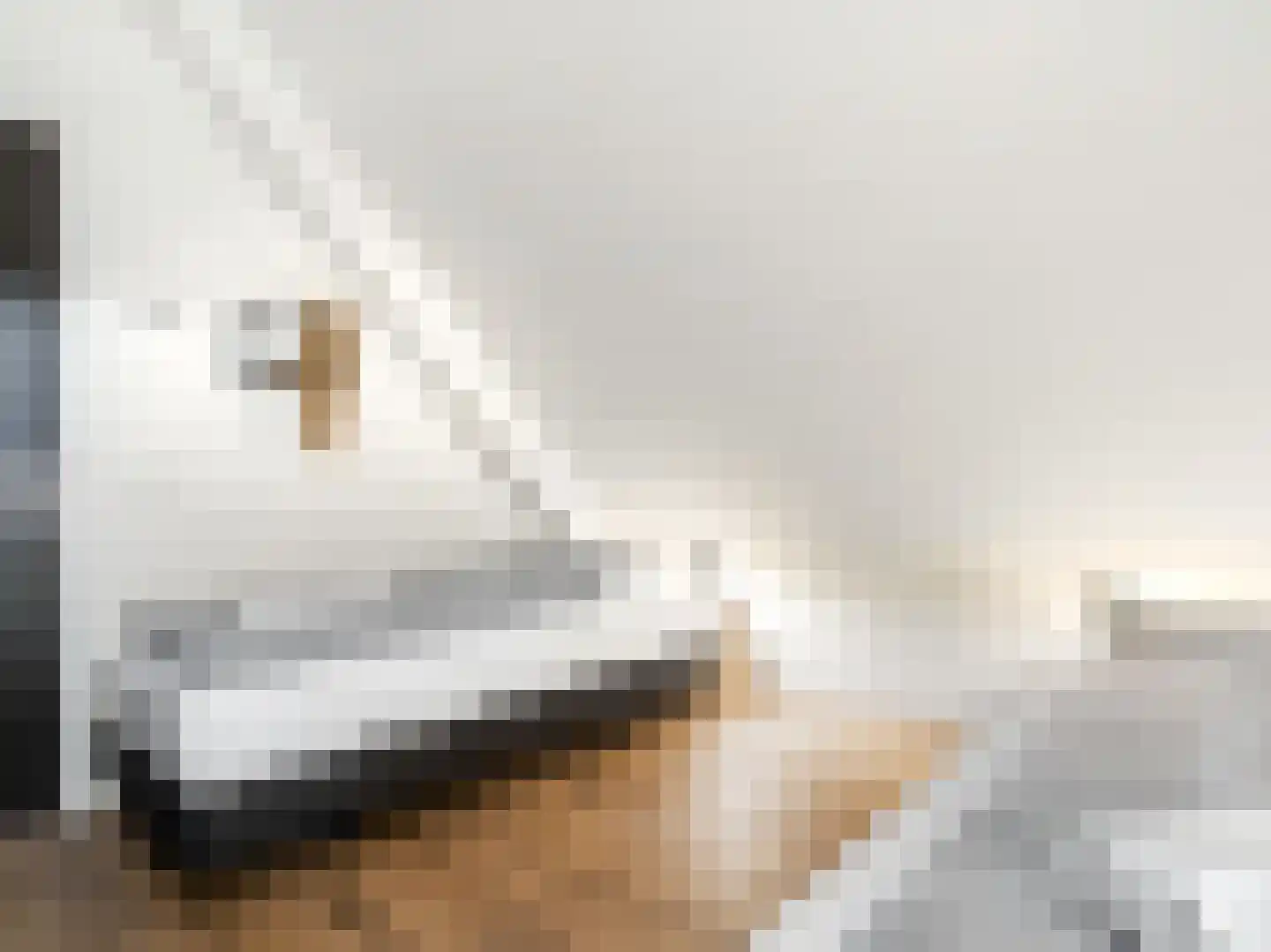 Eijzengapaed 6 7 De Veenhoop thumbnail 27