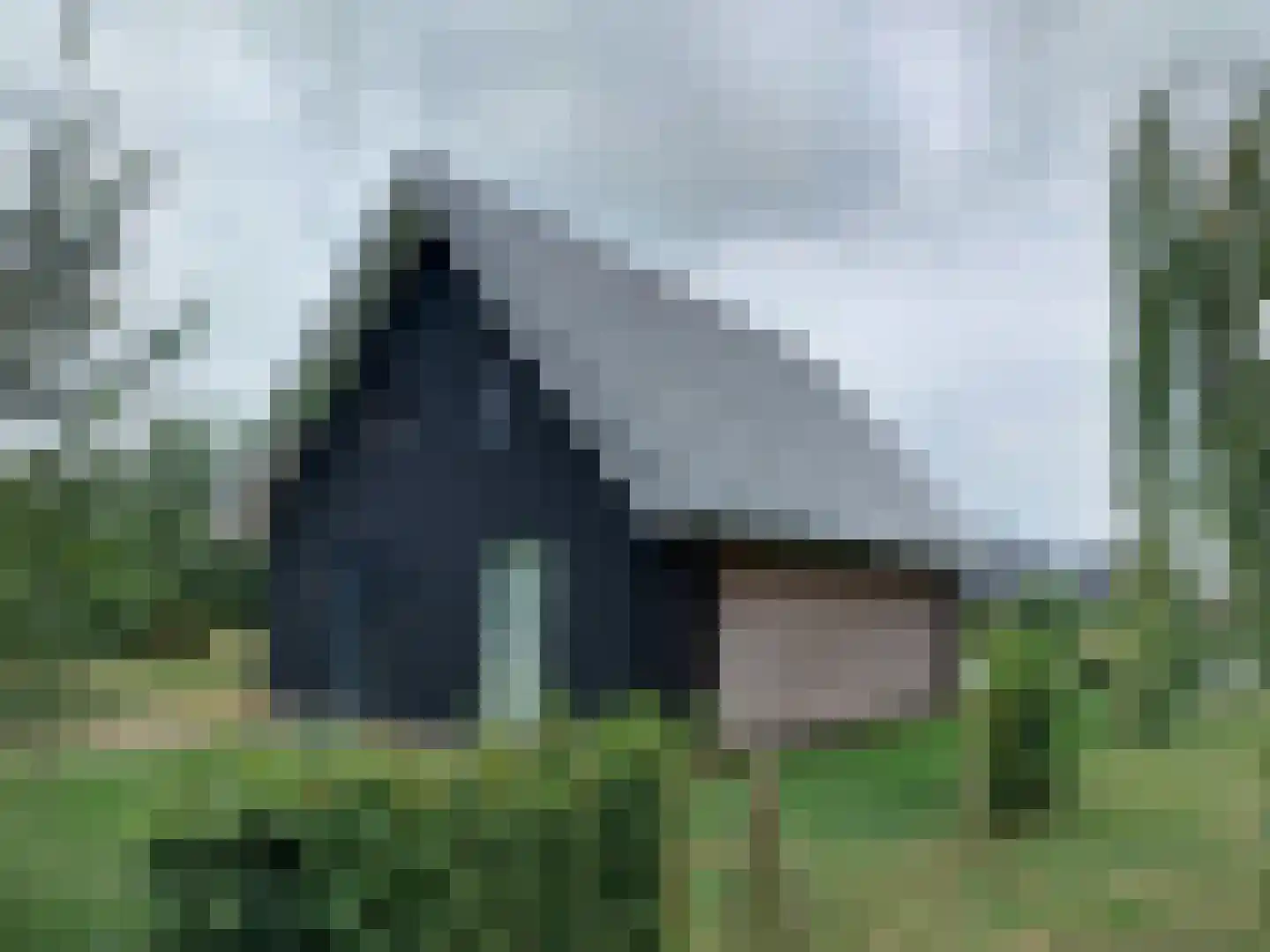 Eijzengapaed 6 7 De Veenhoop thumbnail 4