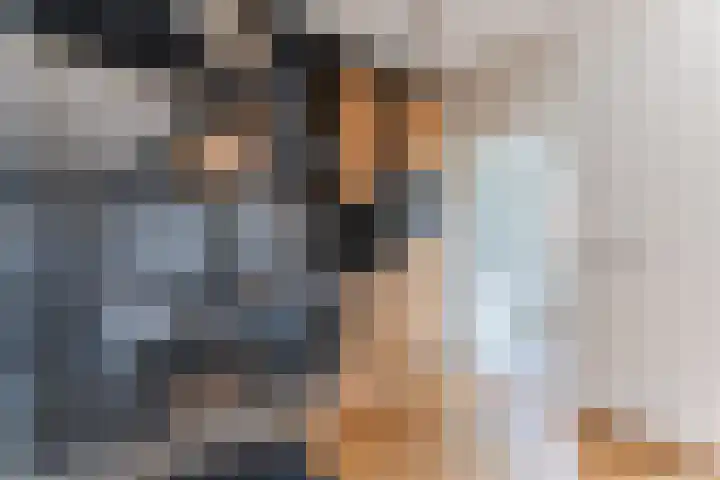Eik 20 Best thumbnail 12