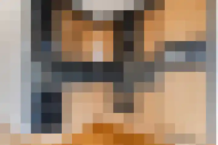 Eik 20 Best thumbnail 14