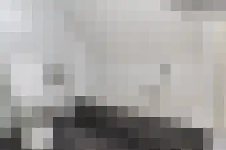 Eik 20 Best thumbnail 23