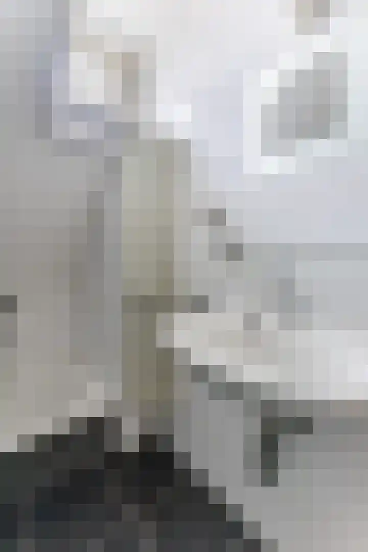 Eik 20 Best thumbnail 24