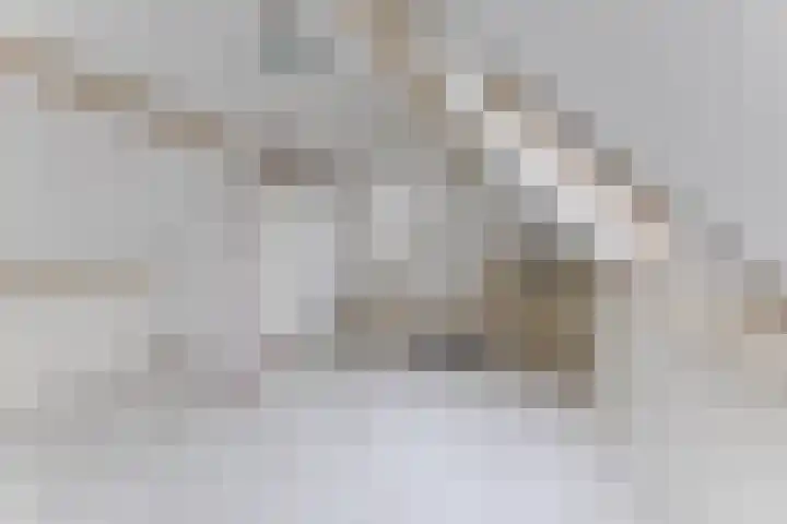Eik 20 Best thumbnail 27
