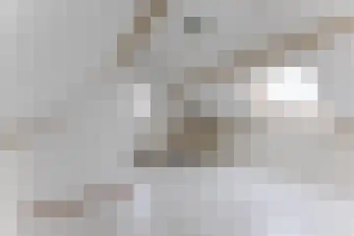 Eik 20 Best thumbnail 28