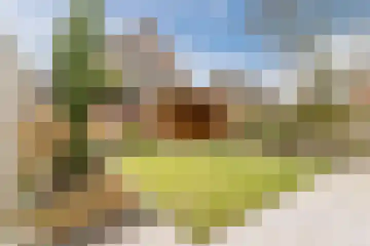 Eik 20 Best thumbnail 29