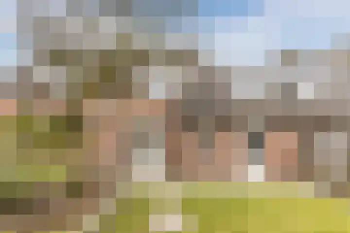 Eik 20 Best thumbnail 31