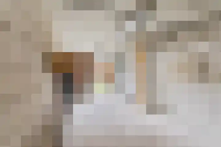 Eik 20 Best thumbnail 32